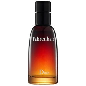 Fahrenheit Eau de Toilette Dior – 100 ml